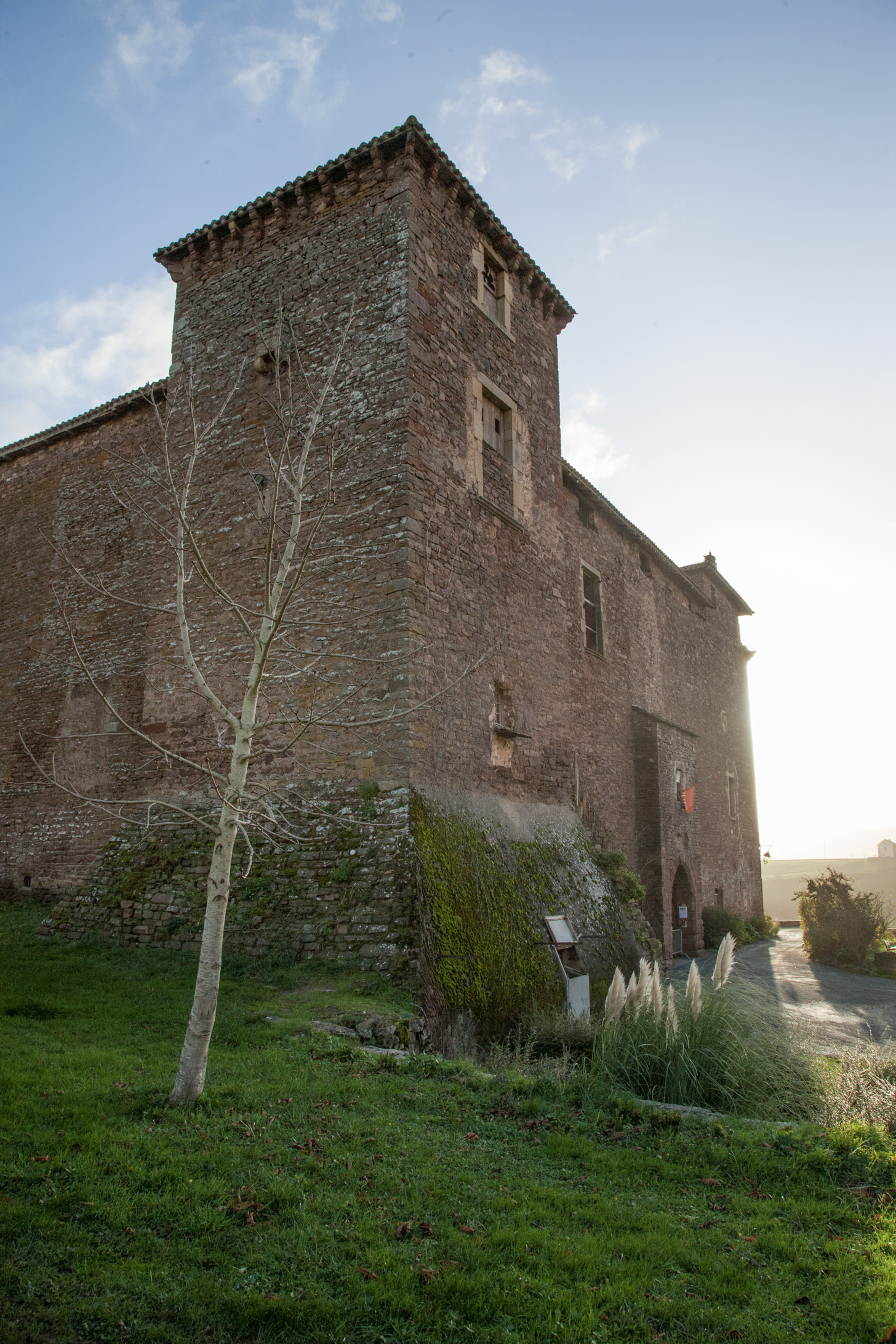 Château de Saint-Izaire